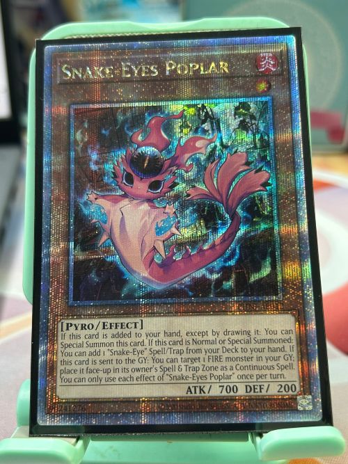 PHNI-AE012 SNAKE-EYES POPLAR 蛇眼的炎燐